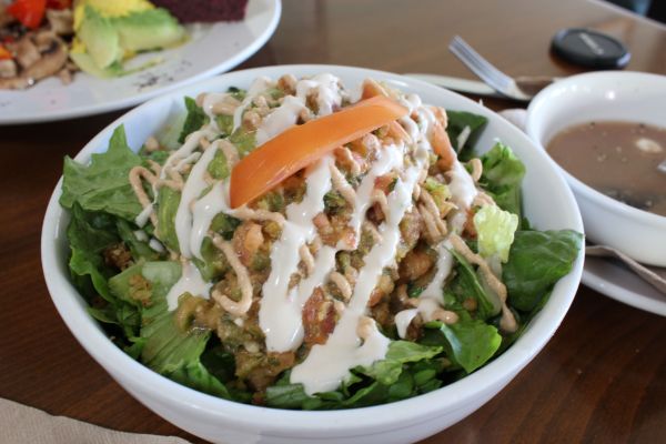 Euphoria Loves Rawvolution Taco Salad