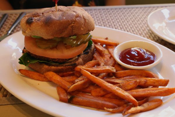 Green Earth Chick'un Burger